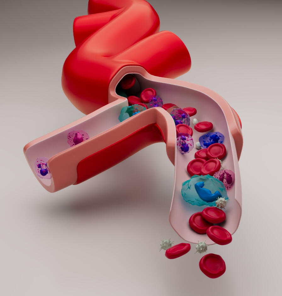 Artery : created in Autodesk Maya